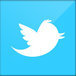 twitter_newbird_boxed_whiteonblue